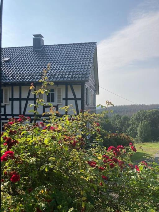 Ferienwohnung Am Alten Backhaus บาด แบร์เลอบวร์ก ภายนอก รูปภาพ
